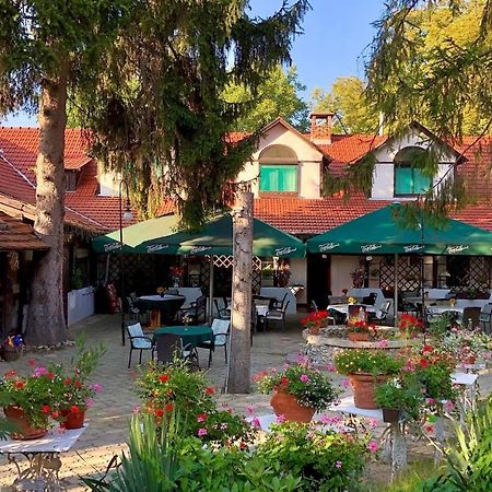 米什科尔茨 Talizman Etterem Panzio酒店 外观 照片
